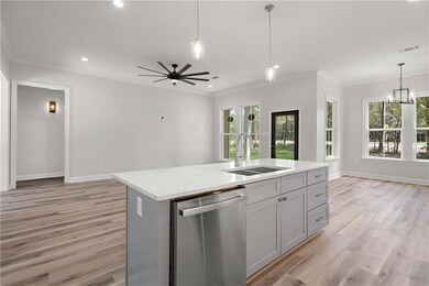 Kitchen Island with undermount sink
