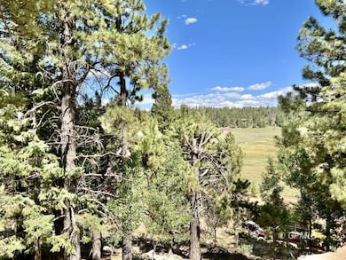 930 E Appaloosa Dr, Duck Creek Village, UT 84762 - photo 2