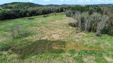 00 Hickory Island, Brutus, NY 13166 - photo 7