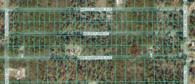 TBD NW Shamrock Ave, Dunnellon, FL 34431 - photo 2