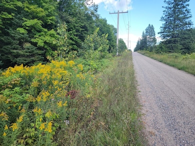 ON East Ln, Crandon, WI 54520 - photo 2