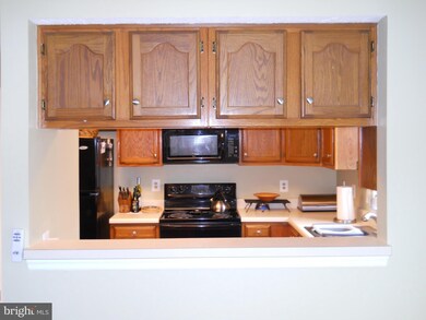 14003 Winding Ridge Ln, Centreville, VA 20121 - photo 3