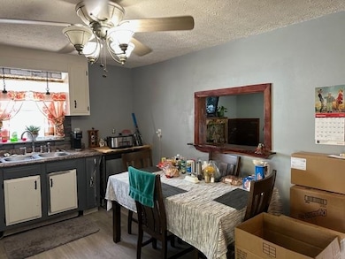 11 Paddy Hollow Rd, Lavalette, WV 25535 - photo 3