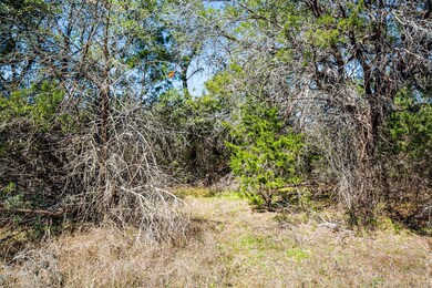 TBD Pedernales Canyon Trail, Spicewood, TX 78669 - photo 6
