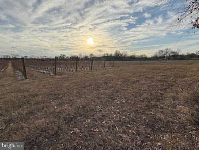 812 Garden Rd, Pittsgrove, NJ 08318 - photo 5