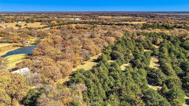 1832 Whitney Rd, Tom Bean, TX 75090 - photo 3