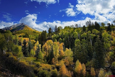 DRR Last Dollar Rd, Telluride, CO 81435 - photo 4