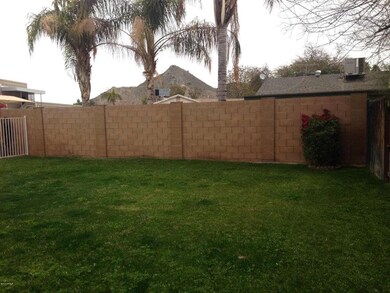 More views from the backyard