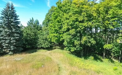 Beautifully Wooded