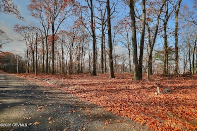 449 Evergreen Ln, Catawissa, PA 17820 - photo 3