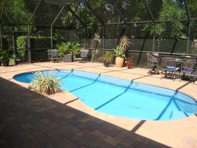 Beautiful Pool