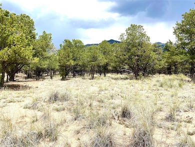 Tract 6 PHILLEO ANNE S Hemlock St, Crestone, CO 81131 - photo 3