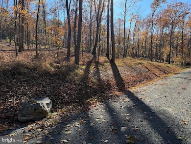 0 Digging Bear Ln unit VALO2111586, Purcellville, VA 20132 - photo 2