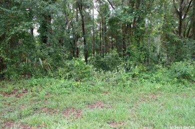 9761 SW 190 Terrace, Undetermined-Other, FL 34432 - photo 4