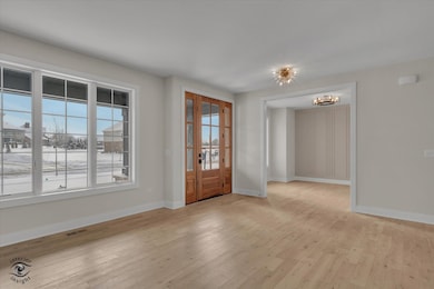 8858 Dunlap Reef Dr, Frankfort, IL 60423 - photo 3