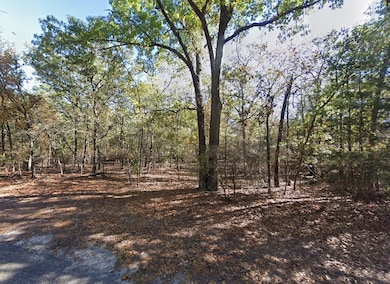 0 Kingfisher Dr unit Winnsboro TX 75494, Winnsboro, TX 75494 - photo 3