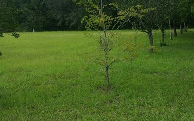 unlisted-address, Lake City, FL 32025 - photo 4