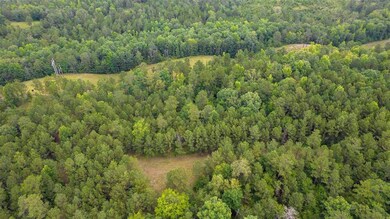 1708 Round Oak Juliette Rd, Juliette, GA 31046 - photo 3