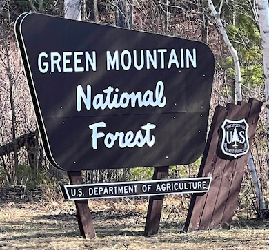 214 S End Rd, East Dorset, VT 05253 - photo 6