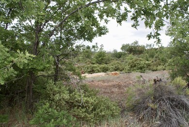 882 Geronimo Ln, Show Low, AZ 85901 - photo 7