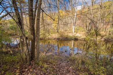 177 River Pine Dr, Lowell, MI 49331 - photo 4