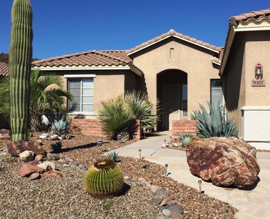 Lovely desert easy care front yard