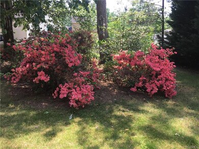 Beautiful flowering azaleas in front yard!