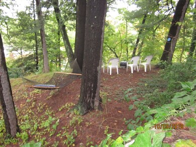 25 Duffield Rd unit 1, Auburndale, MA 02466 - photo 4