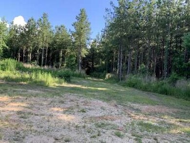 . Old Hwy 51 S, Osyka, MS 39657 - photo 5