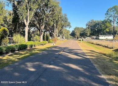 3915 Shady Oak Dr E, Lakeland, FL 33810 - photo 4