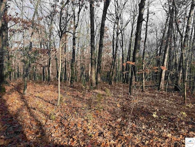 24978 Highway H, Lincoln, MO 65338 - photo 6