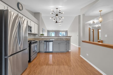 239 Camel Bend Ct unit 4, Schaumburg, IL 60194 - photo 7