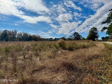 180 Asbury Rd, Cove City, NC 28523 - photo 7