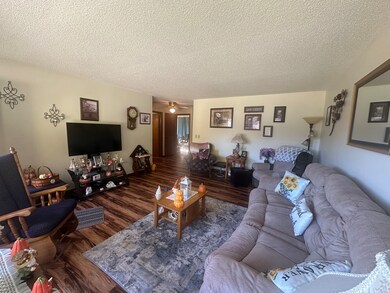 309 S Grape St, Morrison, IL 61270 - photo 6