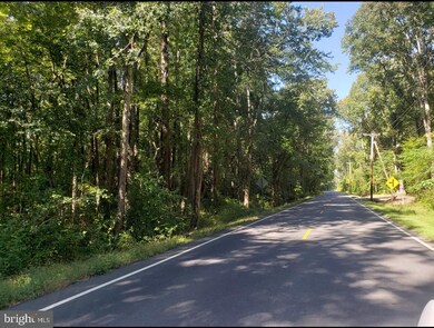 0 Woodstown Rd unit NJSA2001428, Pilesgrove, NJ 08098 - photo 2