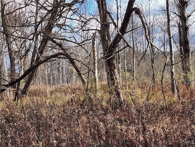 0 New York 294, Boonville, NY 13309 - photo 4