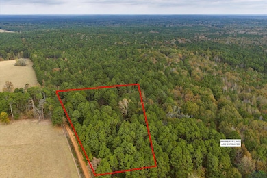 TBD Grace Scott Cutoff, Karnack, TX 75661 - photo 3