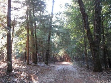 Trees and wildlife abound!
