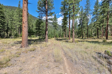 13902 Highland Trail, Alberton, MT 59820 - photo 6