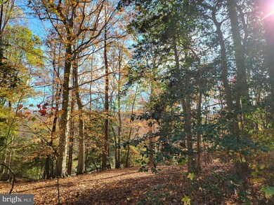 Lot 137 Knights Way, Montross, VA 22520 - photo 2