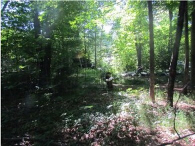 36 Pollard Rd, Lincoln, NH 03251 - photo 5