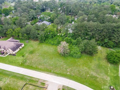 22420 Meadowhurst Cir W, Tomball, TX 77377 - photo 3