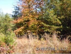 11 Old Amber, lot 15