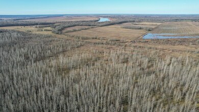 TBD Little River 32, Ashdown, AR 71822 - photo 2