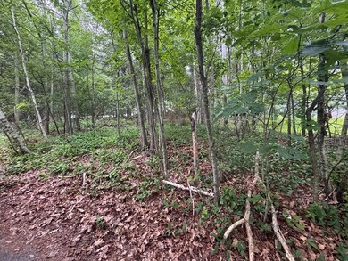 2 Selden St, Worcester, MA 01605 - photo 5