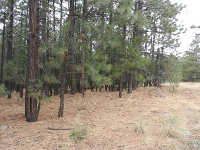Heavily Treed Vacant Lot