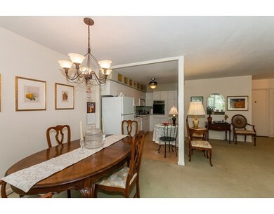 Hammond Park Condominiums unit 405, Chestnut Hill, MA 02467 - photo 7