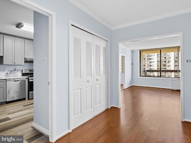 Skyline Plaza unit 2105S, Baileys Crossroads, VA 22041 - photo 3