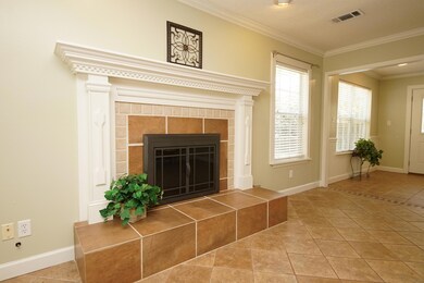 Wood burning fireplace