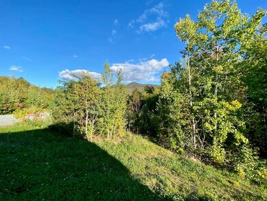 18 Highwoods Dr unit 18, Bartlett, NH 03845 - photo 3